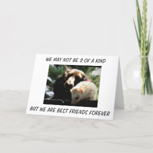 CARTE "FRATERNAL TWINS" NOUS SOMMES LES MEILLEURS AMIS P