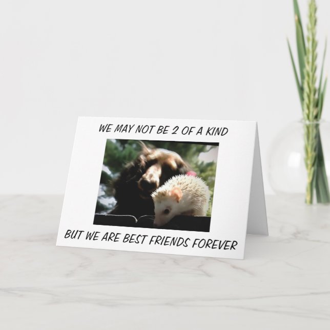 CARTE "FRATERNAL TWINS" NOUS SOMMES LES MEILLEURS AMIS P (Devant)