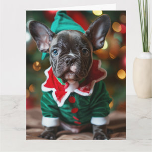 Carte French Bulldog Elf Puppy
