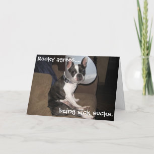 Carte French Bulldog Get Well Soon