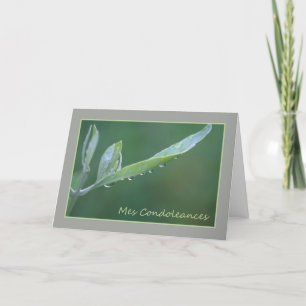 Carte French Sympathy Raindrop sur Olive Leaf