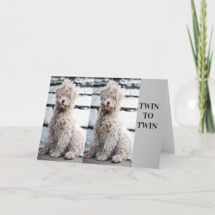 CARTE **FRÈRE JUMEAU OU SOEUR JUMELLE** ANNIVERSAIRE