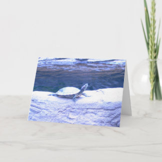 Carte Friendly Greetings 1