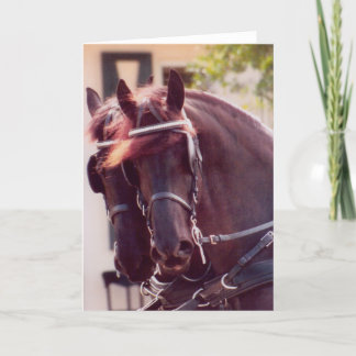 Carte Friesian Carriage Horses Card
