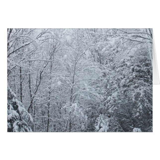 Carte Froid Arbres-Vide (Devant horizontal)