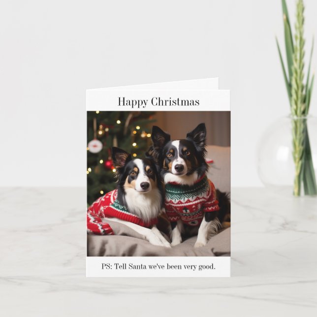 Carte Frontière Chiens de Collie dans les pulls de Noël (Devant)