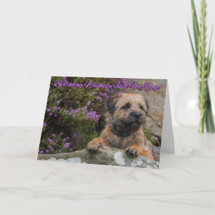 Carte Frontière Terrier sur une roche avec Heather