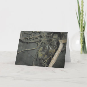 Carte "Fruit Bats" Birthday Card