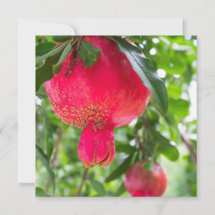 Carte Fruit de grenade