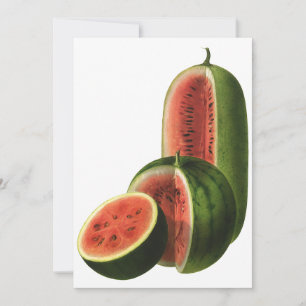 Carte Fruits vintages de pastèques, Grands ronds, Alimen