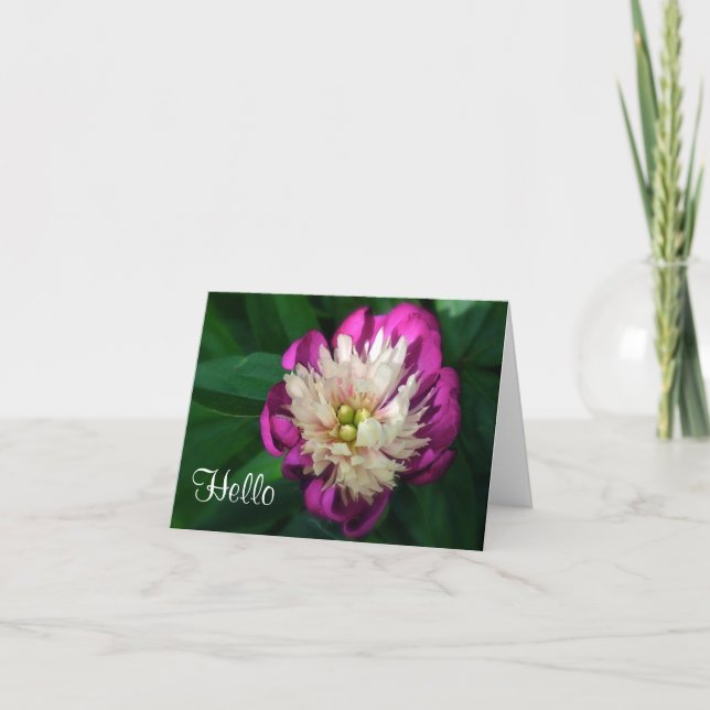 CARTE "FUCHSIA & PEONY BLANC" (Devant)