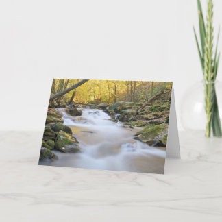 Carte Fumé Mountain Stream