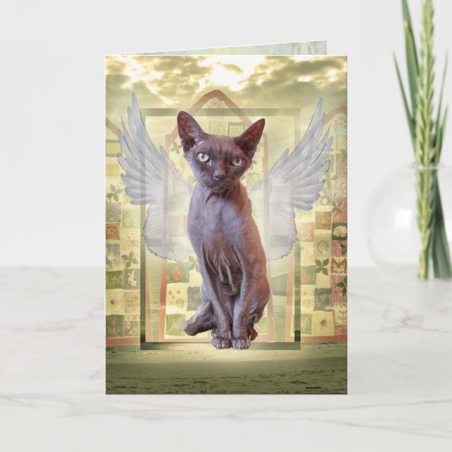 Carte Fumer Devon Rex Sphynx Angel Chat Animal Sympathie (Devant)
