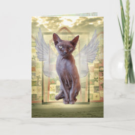 Carte Fumer Devon Rex Sphynx Angel Chat Animal Sympathie