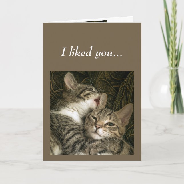 Carte Fun Anniversaire Chats Aimez-vous Garder (Devant)