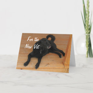 Carte Fun Canine Vet Graduate Félicitations Diplôme