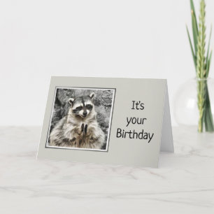 Carte Fun Clapping Raccoon Obtenir un vieil Humour Anniv