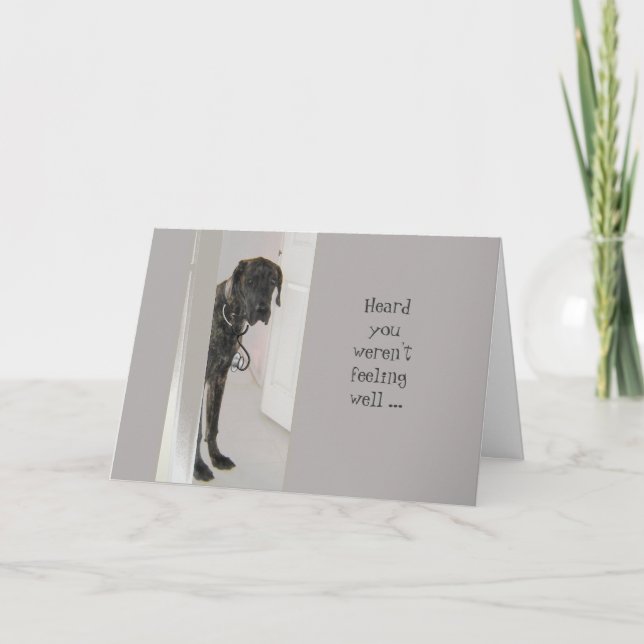 Carte Fun Get Well Great Dane Dog Doter (doctor) (Devant)