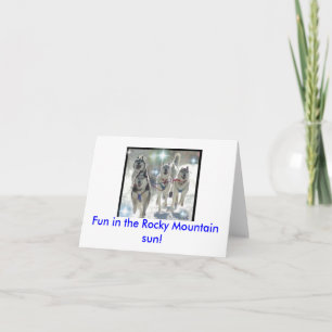 Carte Fun in the Rocky Mountain sun !