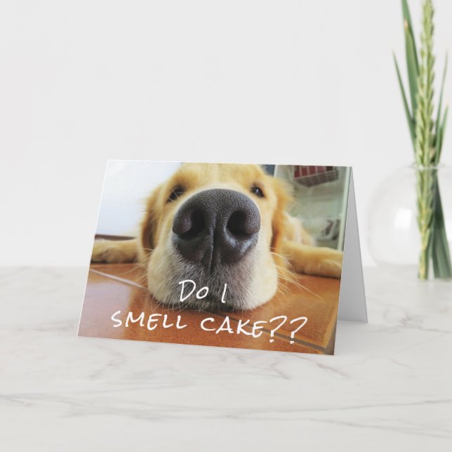 Carte Fun mignon chien Big Nez Joyeux anniversaire (Devant)