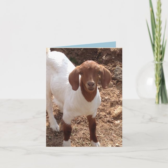 Carte Fun notecards (Devant)