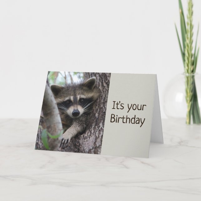 Carte Fun Raccoon Dans un endroit serré Anniversaire (Devant)