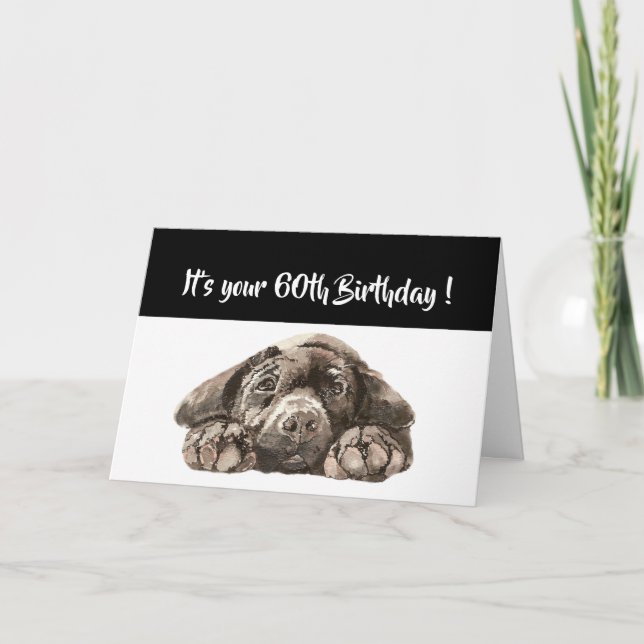 Carte Funny 60e anniversaire, Labrador Retriever (Devant)