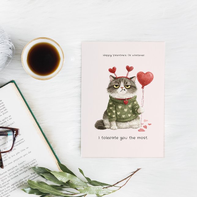 Carte Funny Anti-Valentine Cat | I Tolerate You the Most (Créateur téléchargé)