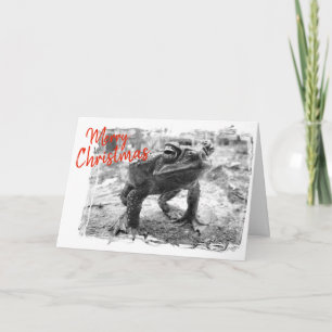 Carte Funny Australian Christmas Greeting Card