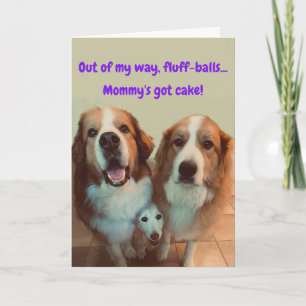 Carte Funny Birthday Card Short Dog with Fluffy Dogs