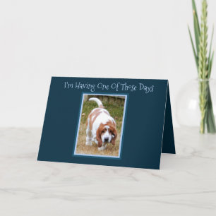 Carte Funny Birthday Card W/Cute Basset Hound & Cake