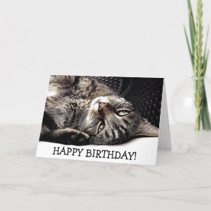 Carte Funny birthday card with cat - ready to play !