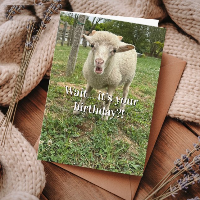 Carte Funny Birthday  Farm Animal Sheep Cute Barnyard  (Créateur téléchargé)