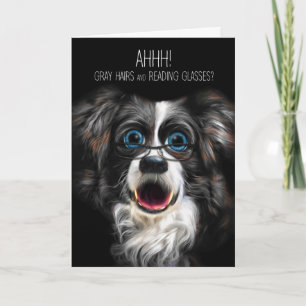 Carte Funny Border Collie Birthday Gray Hair and Glasses