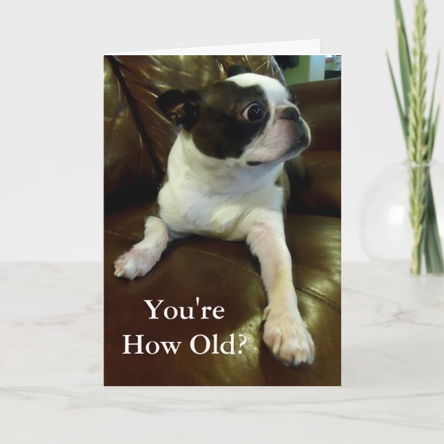 Carte Funny Boston Terrier Birthday Card (Animal Rescue) (Devant)
