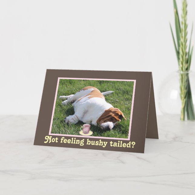 Carte Funny Bushy Tailed Get Well Card w/Basset Hound (Devant)