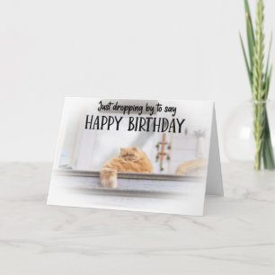 Carte Funny Cat Birthday Greeting Card 