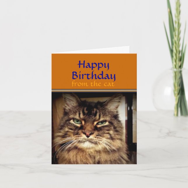 Carte Funny Cat Smile c'est ton anniversaire Greeting (Devant)