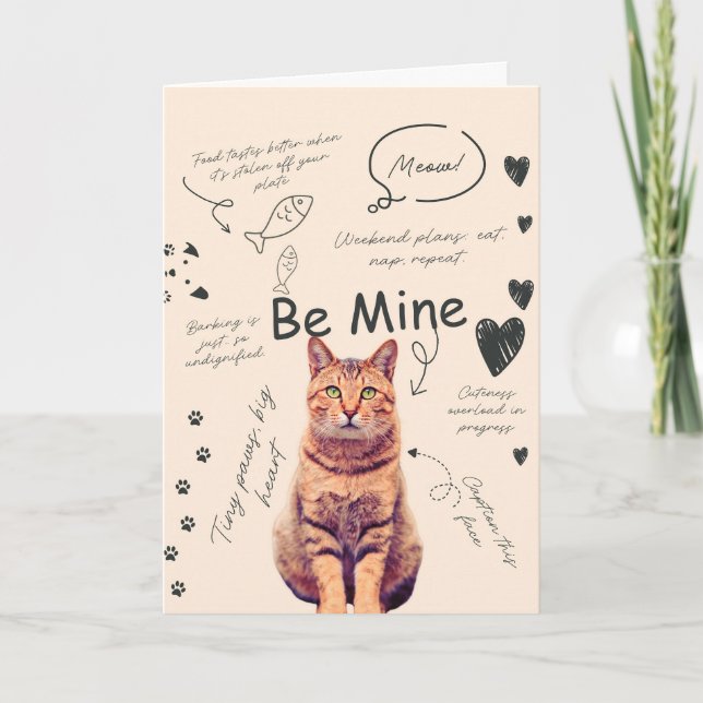Carte Funny Cat valentine's day cards (Devant)