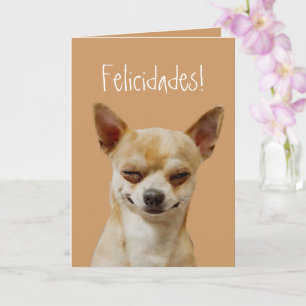 Carte Funny Chihuahua Dog à Customiser pour un anniversa