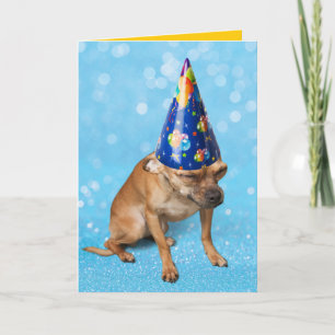 Carte Funny Chihuahua In Birthday Party Hat