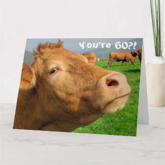 Carte Funny Cow Happy 60th Birthday Card