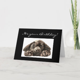 Carte Funny Custom Birthday, Labrador Retriever, Dog