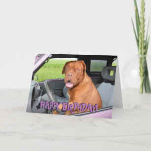 Carte Funny dogue de bordeaux birthday card