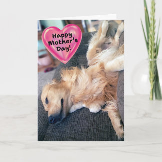 Carte Funny Furry Golden Retriever Fête des mères