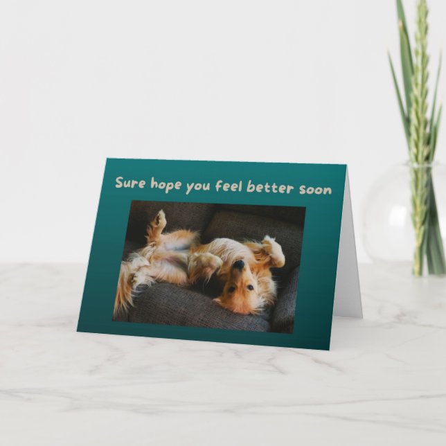 Carte Funny Get Well Card Dog A Besoin De Ses Brouilles  (Devant)