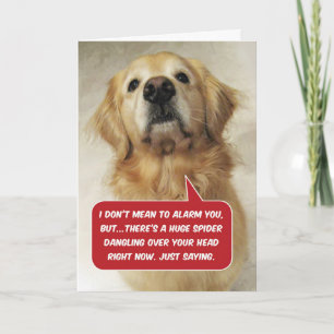 Carte Funny Golden Retriever Arachnophobie - Anniversair