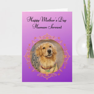 Carte Funny Golden Retriever gouverne la fête des mères 