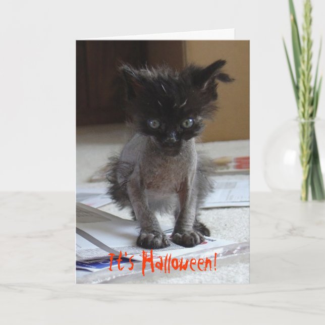 Carte Funny Halloween Zombie Kitty Card (Devant)
