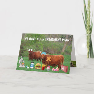Carte Funny Highland Steer Se Bien